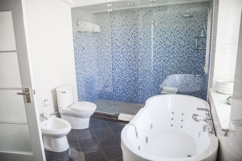 Skilled Bathroom Renovator